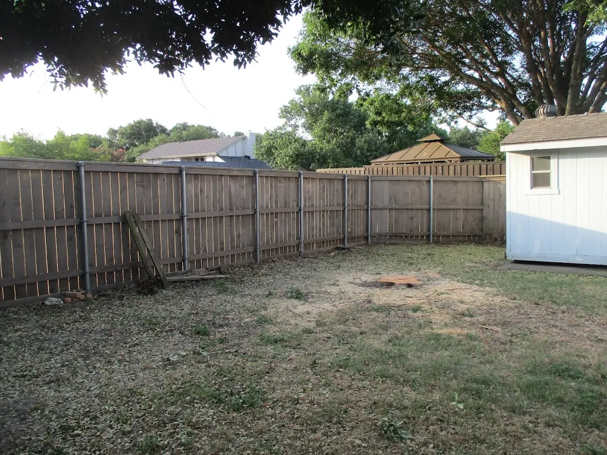 Cleared yard after professional tree removal in Elk River